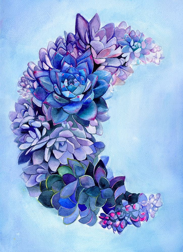 Succulent Moon Garden Small art print by Christine Lindstrom for $57.95 CAD