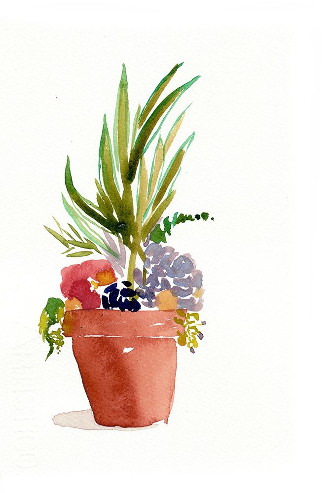 Succulent Garden art print by Christine Lindstrom for $57.95 CAD