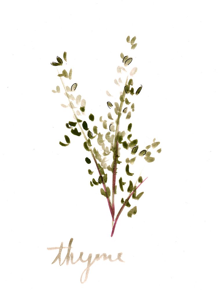 Thyme1 art print by Christine Lindstrom for $57.95 CAD