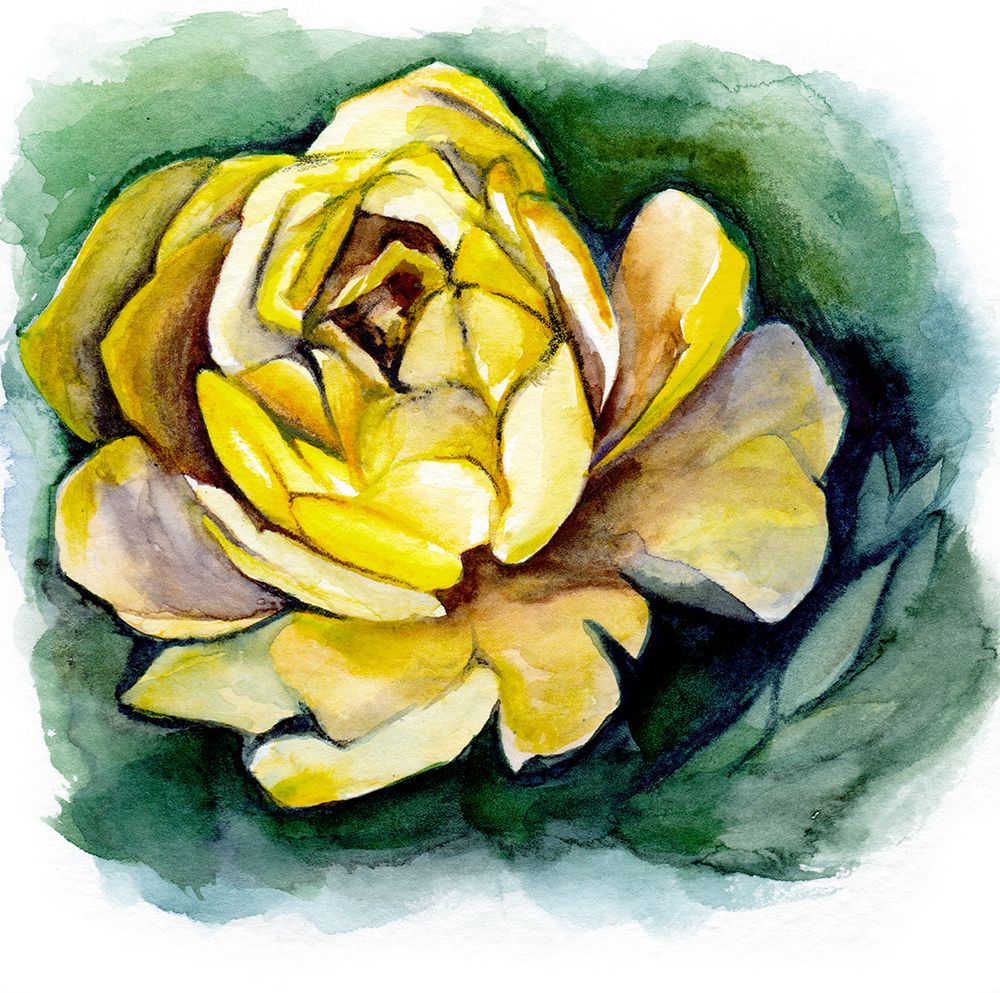 Yellow Peony art print by Christine Lindstrom for $57.95 CAD