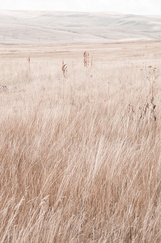 Grass in the mountains art print by Photolovers for $57.95 CAD