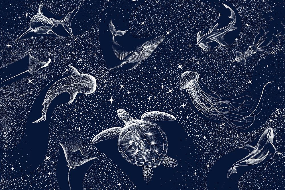 Cosmic Ocean art print by Aliraza Cakir for $57.95 CAD