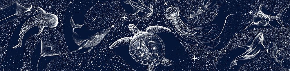 Cosmic Ocean art print by Aliraza Cakir for $57.95 CAD