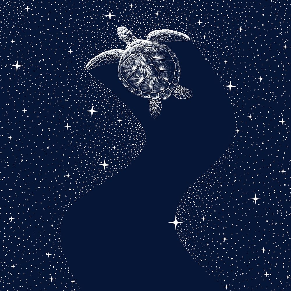 Starry Turtle art print by Aliraza Cakir for $57.95 CAD