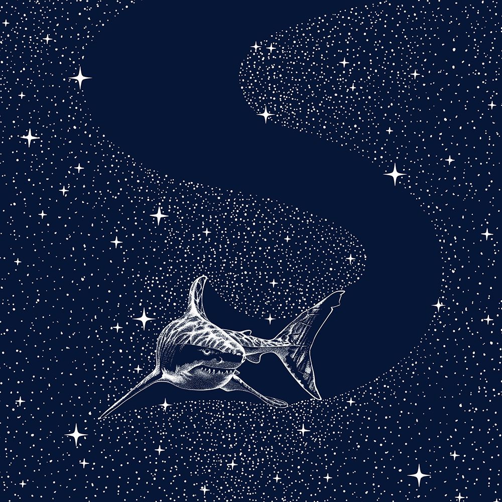 Starry Shark art print by Aliraza Cakir for $57.95 CAD