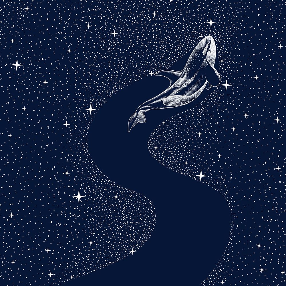 Starry Orca art print by Aliraza Cakir for $57.95 CAD