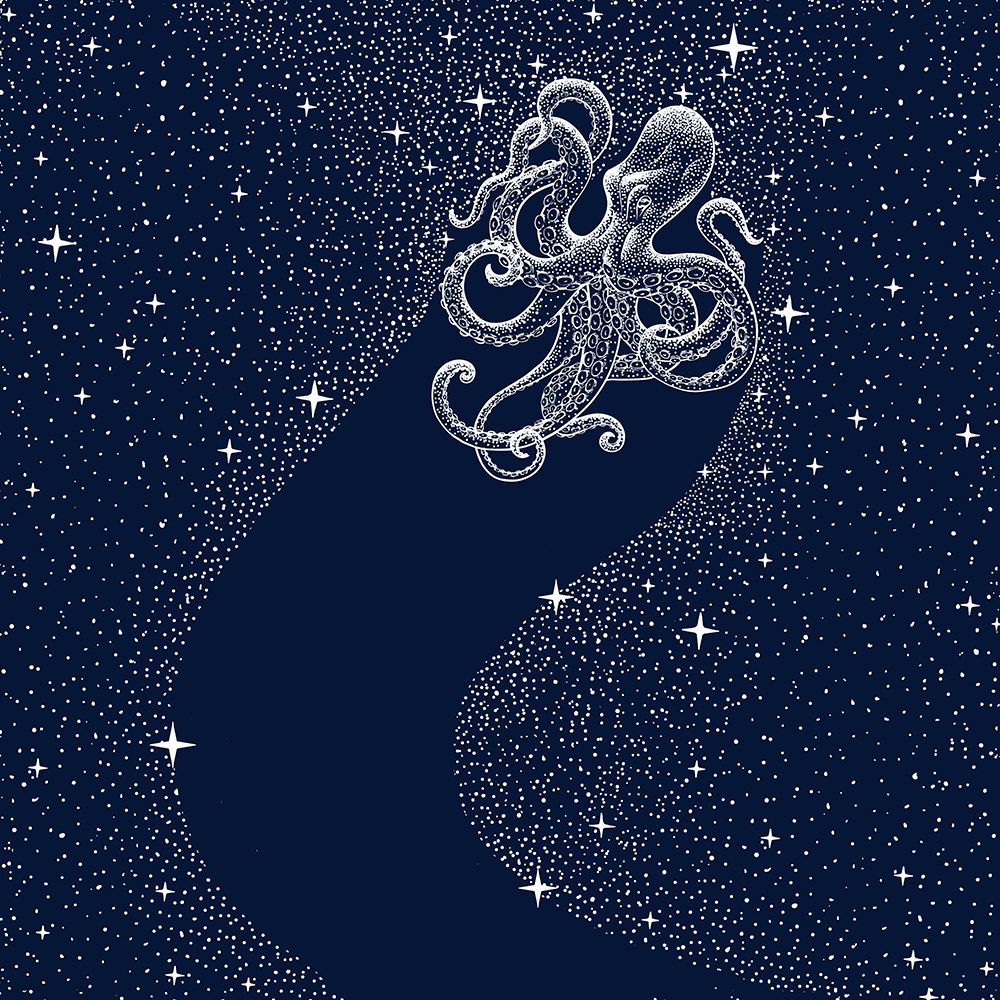 Starry Octopus art print by Aliraza Cakir for $57.95 CAD