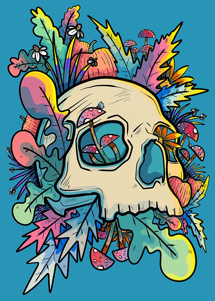 Mushrooms and the Colourful Skull art print by Stephen Wade for $57.95 CAD