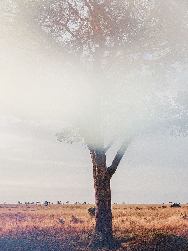 Tree in landscape art print by Imaginative for $57.95 CAD