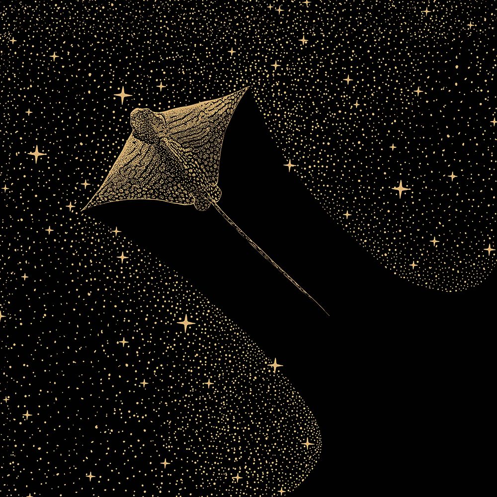 Starry Ornate Eagle Ray Dark Gold Version art print by Aliraza Cakir for $57.95 CAD