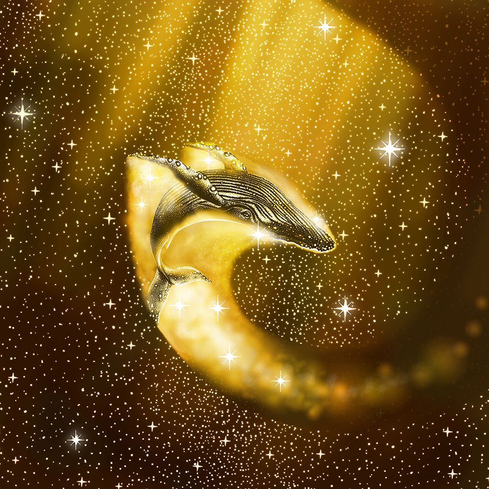 Starry Whale In Golden Space art print by Aliraza Cakir for $57.95 CAD