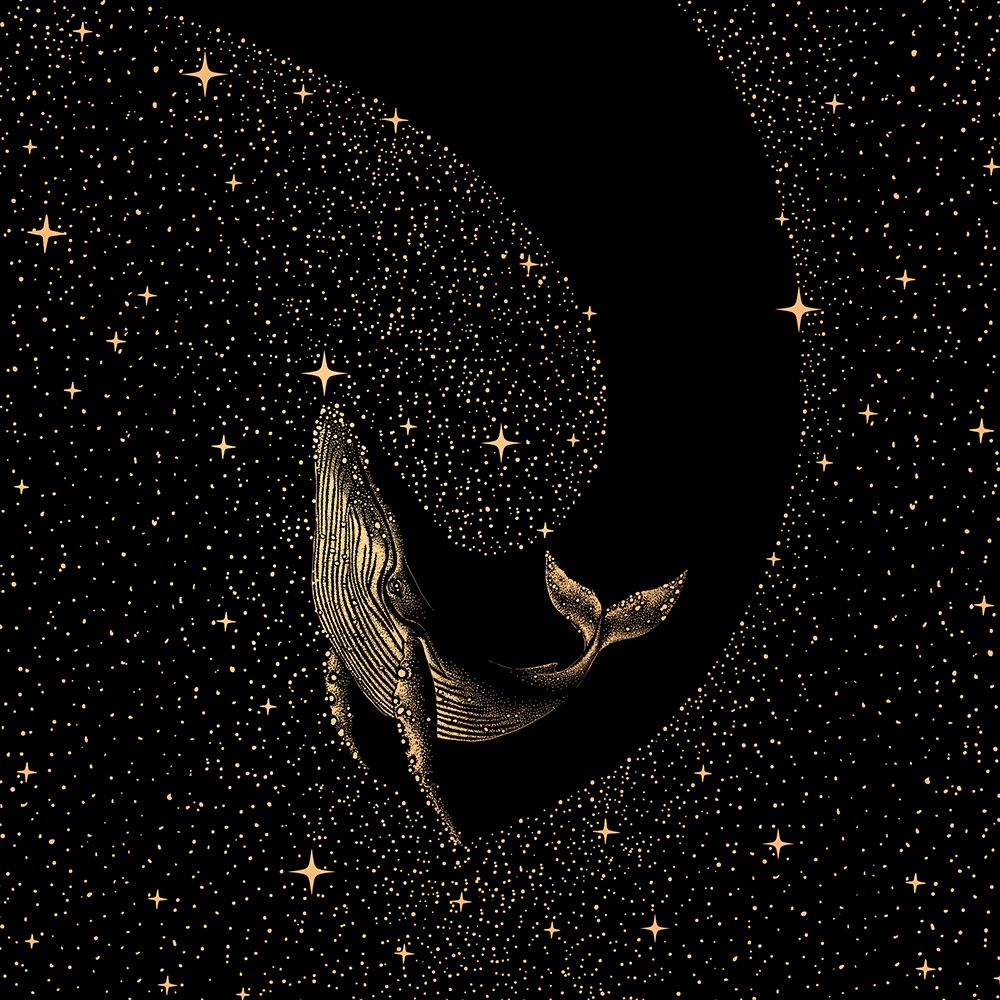 Starry Whale Dark Gold Version art print by Aliraza Cakir for $57.95 CAD