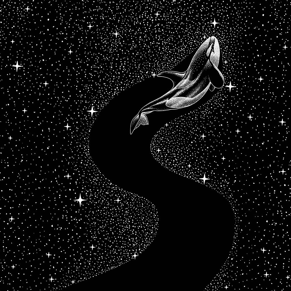 Starry Orca (black Version) art print by Aliraza Cakir for $57.95 CAD