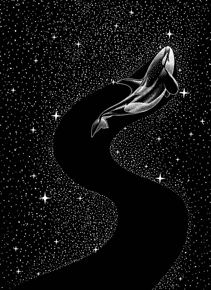 Starry Orca (black Version) art print by Aliraza Cakir for $57.95 CAD