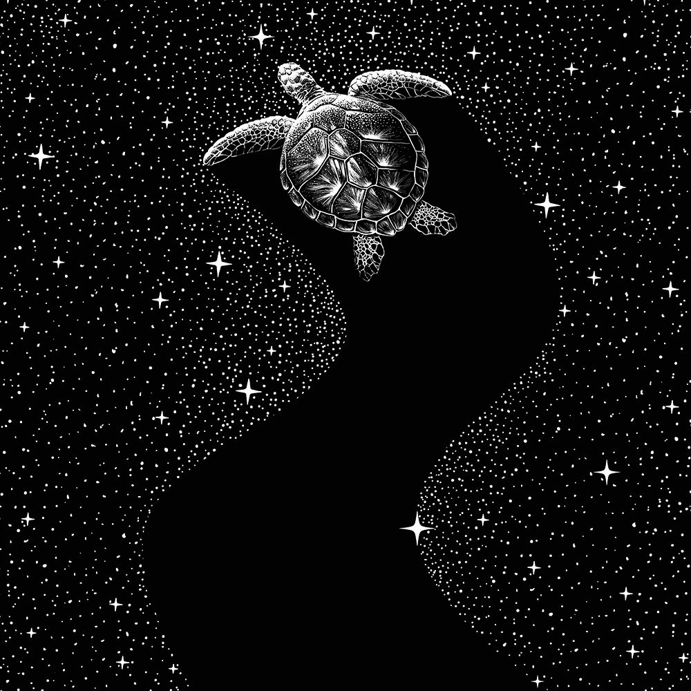 Starry Turtle  (Black Version) art print by Aliraza Cakir for $57.95 CAD
