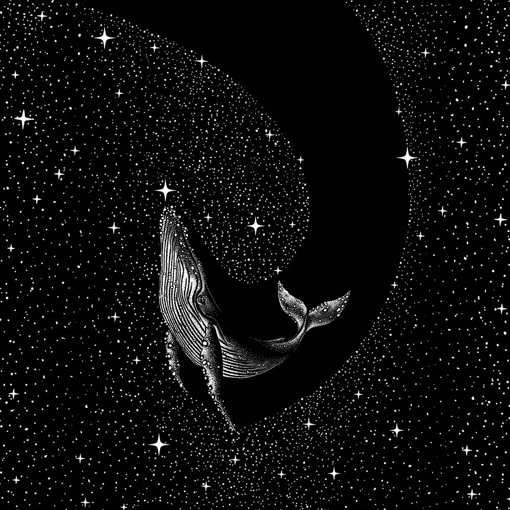 Starry whale (Black Version) art print by Aliraza Cakir for $57.95 CAD