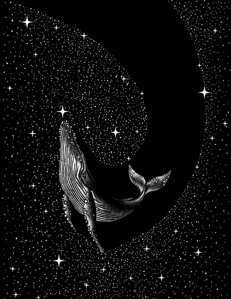 Starry whale (Black Version) art print by Aliraza Cakir for $57.95 CAD