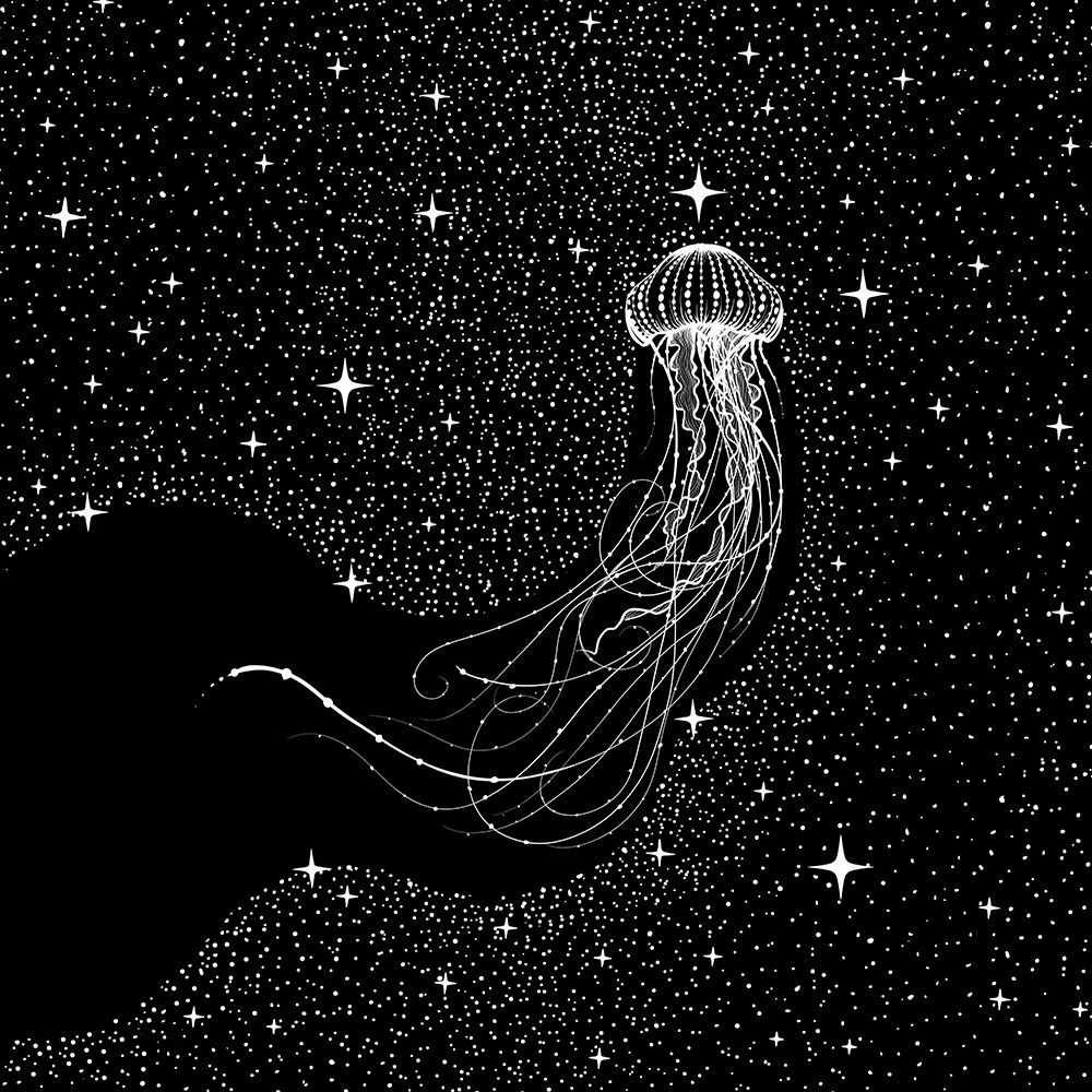 starry jellyfish (Black Version) art print by Aliraza Cakir for $57.95 CAD