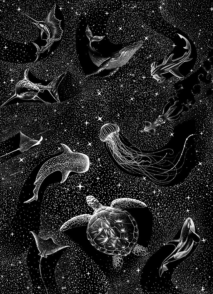 Cosmic Ocean  (Black Version) art print by Aliraza Cakir for $57.95 CAD