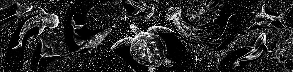 Cosmic Ocean  (Black Version) art print by Aliraza Cakir for $57.95 CAD