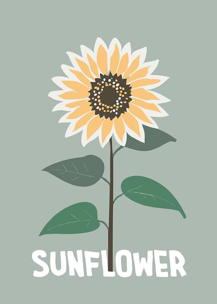 Sunflower art print by Andreas Magnusson for $57.95 CAD