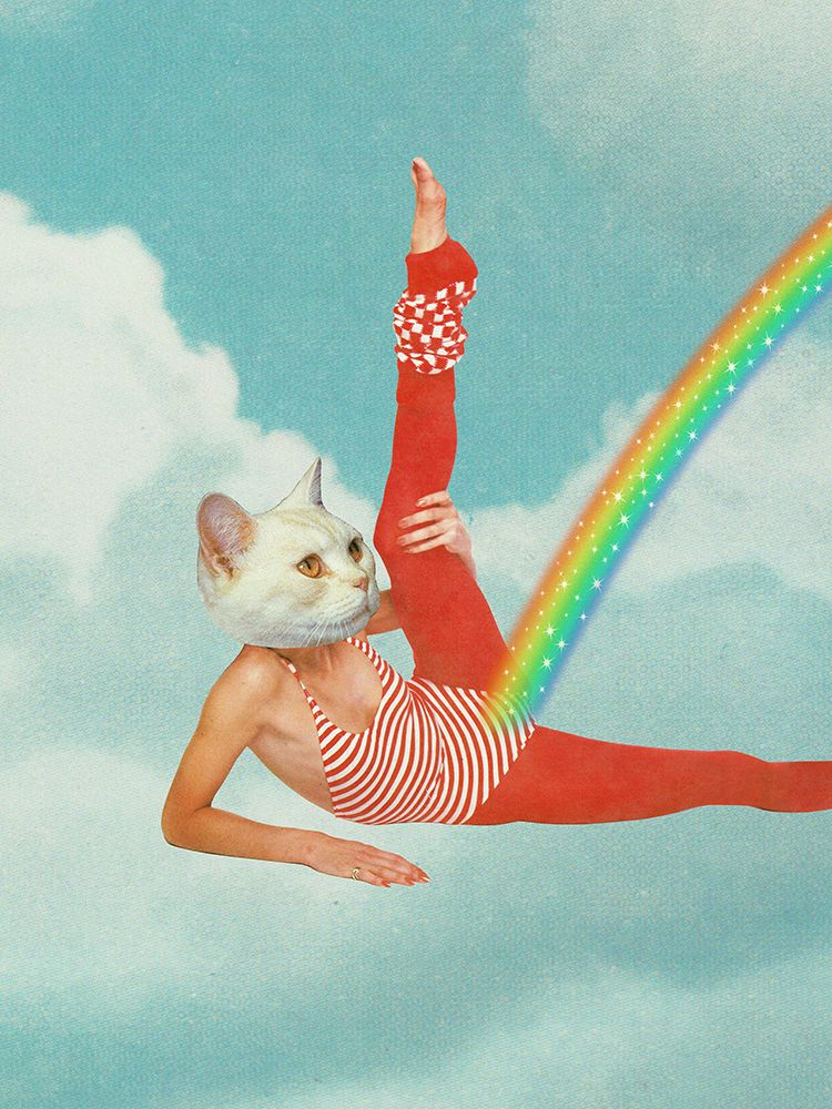 Kitty Cats Rainbow Workout art print by Vertigo Artography for $57.95 CAD