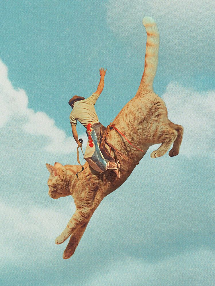 Meehaw   Rodio Cat art print by Vertigo Artography for $57.95 CAD