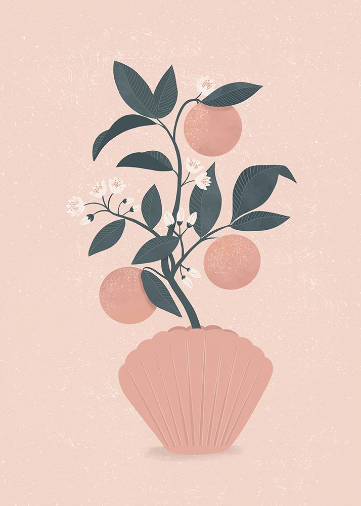 Tangerine Shell art print by Katarzyna Siorowska for $57.95 CAD