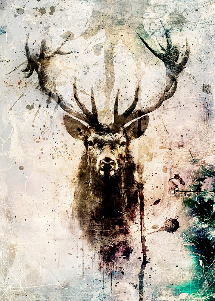 Deer Ink Illustration 02 art print by Rafal Kulik for $57.95 CAD