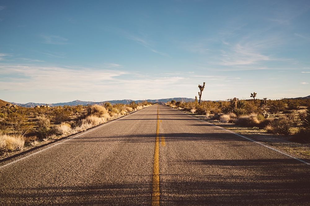 Joshua Tree Road art print by Bethany Young for $57.95 CAD