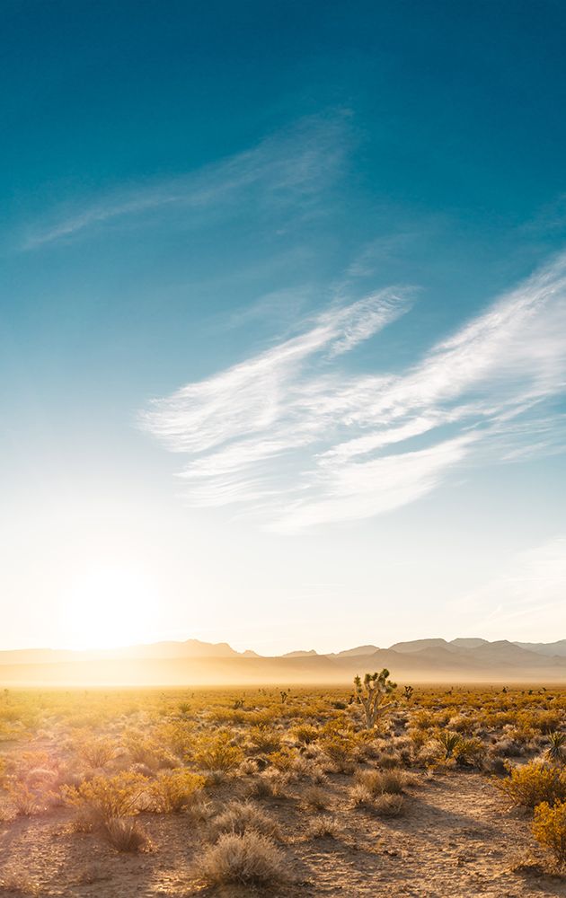 Nevada Desert Sunrise art print by Bethany Young for $57.95 CAD