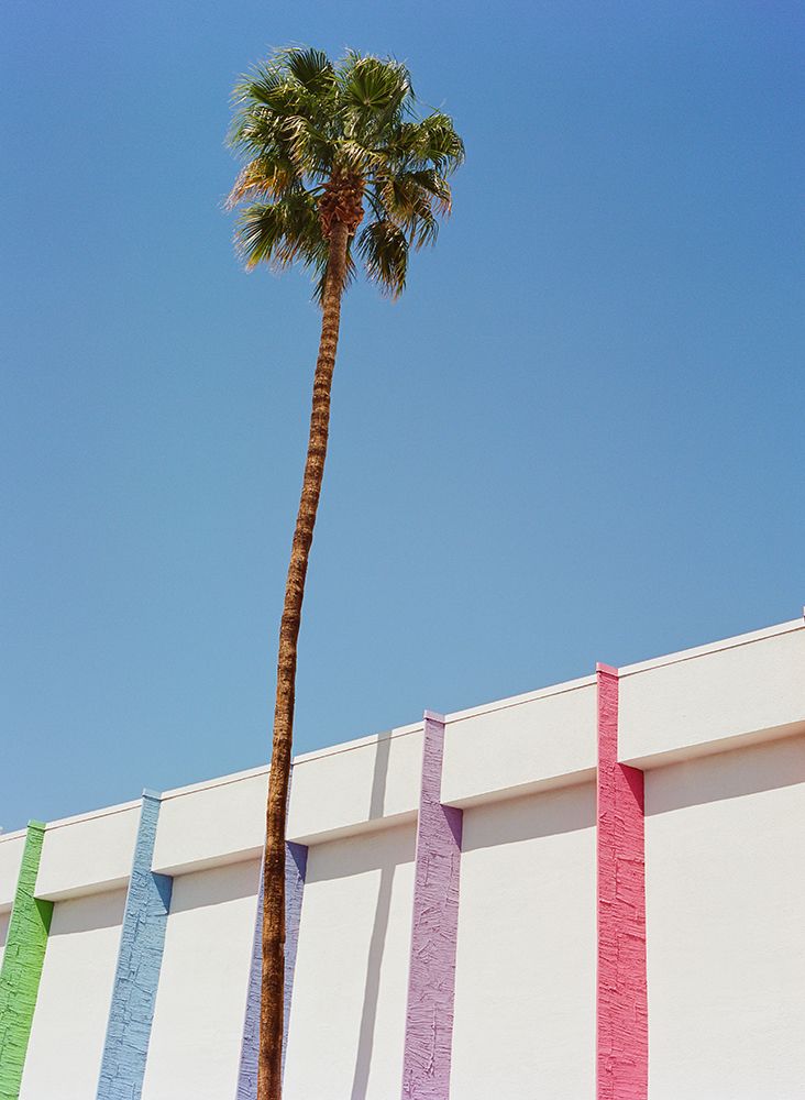 Palm Springs II art print by Bethany Young for $57.95 CAD