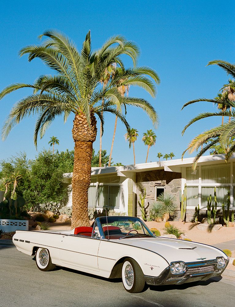 Palm Springs Thunderbird art print by Bethany Young for $57.95 CAD