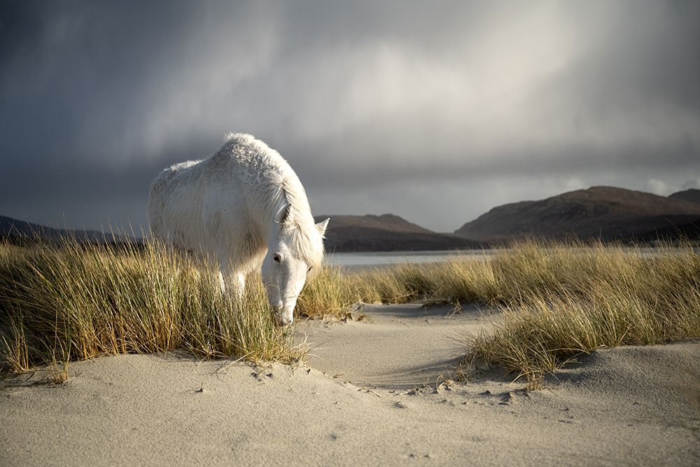 Outer Hebrides art print by Ulrike Eisenmann for $57.95 CAD