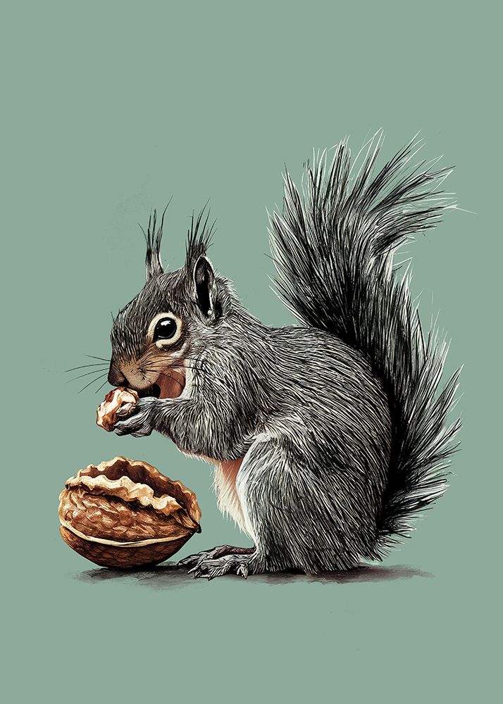 The Squirrel and the Walnut art print by Andreas Magnusson for $57.95 CAD