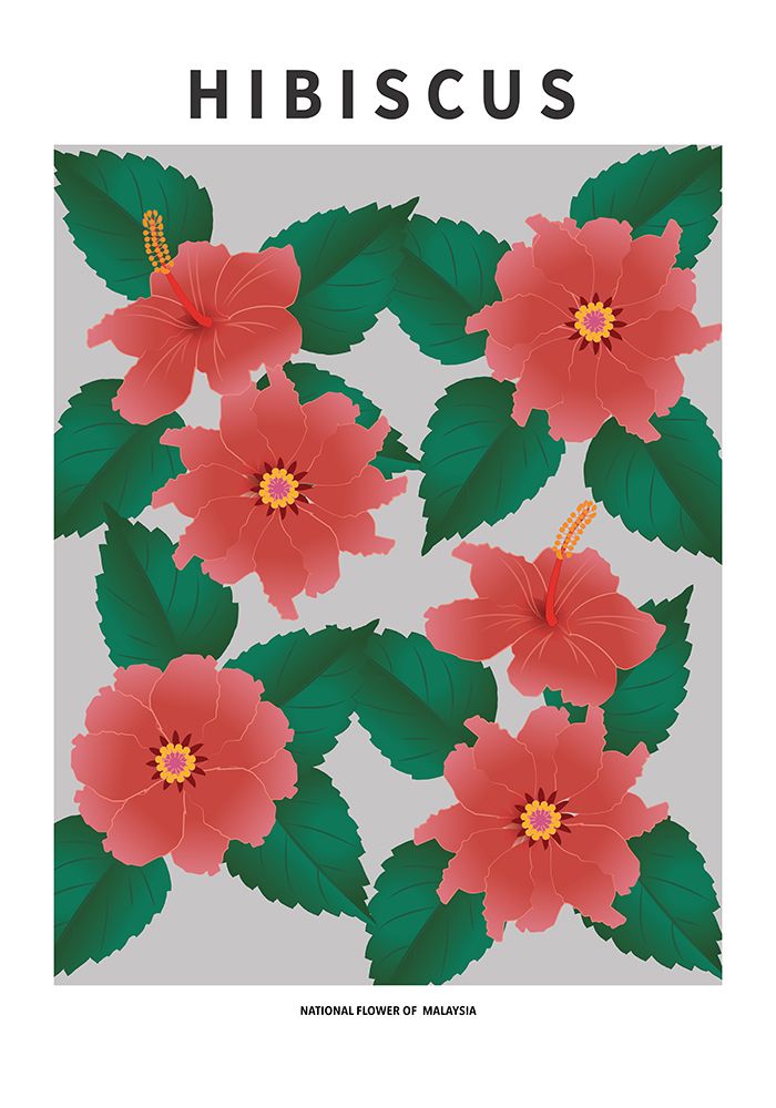Hibiscus - National flower of Malaysia art print by Paperago for $57.95 CAD