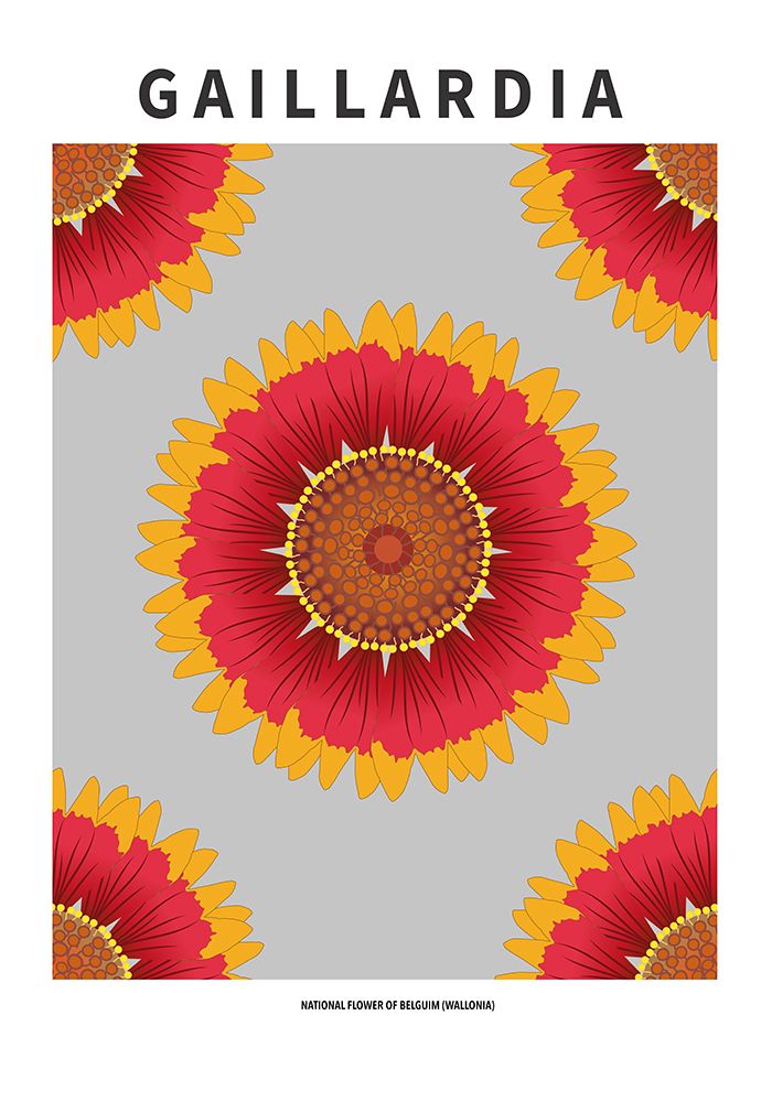 Gaillardia - National flower of Belgium art print by Paperago for $57.95 CAD