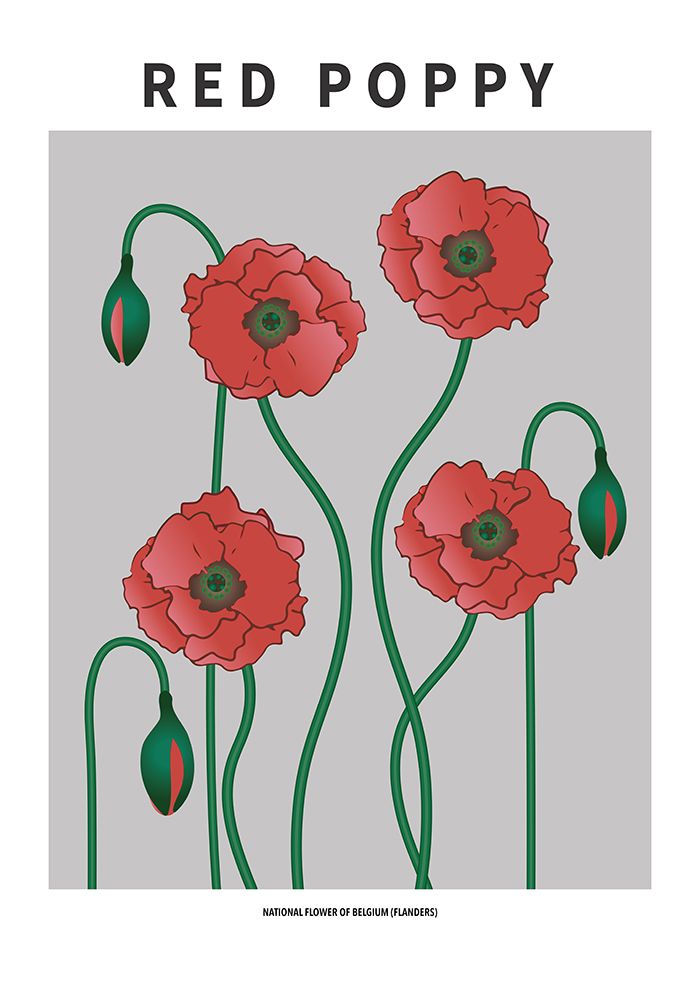 Red Poppy - National flower of Belgium art print by Paperago for $57.95 CAD