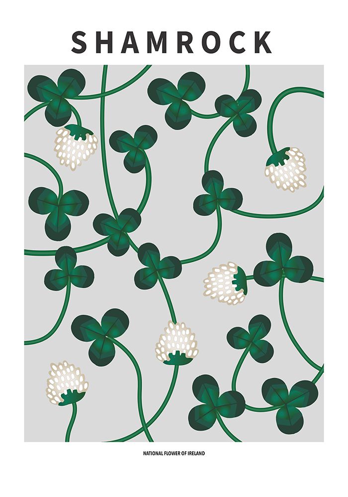 Shamrock - National flower of Ireland art print by Paperago for $57.95 CAD
