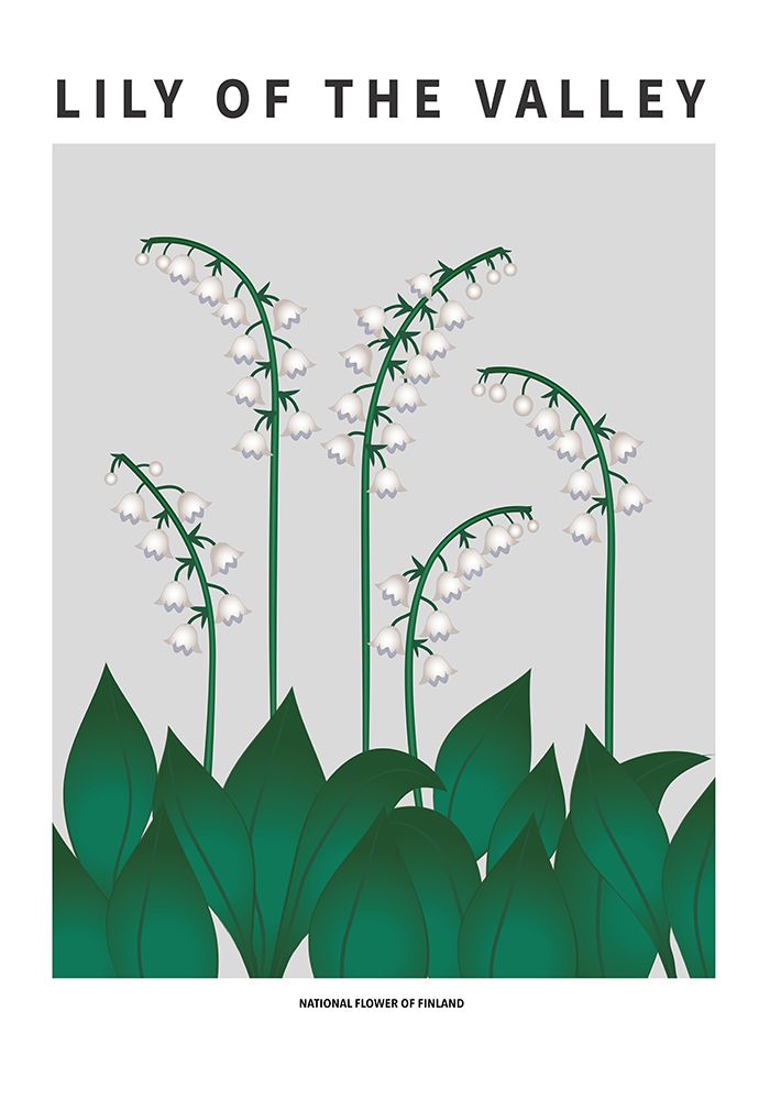 Lily of the valley  - National flower of  Finland art print by Paperago for $57.95 CAD