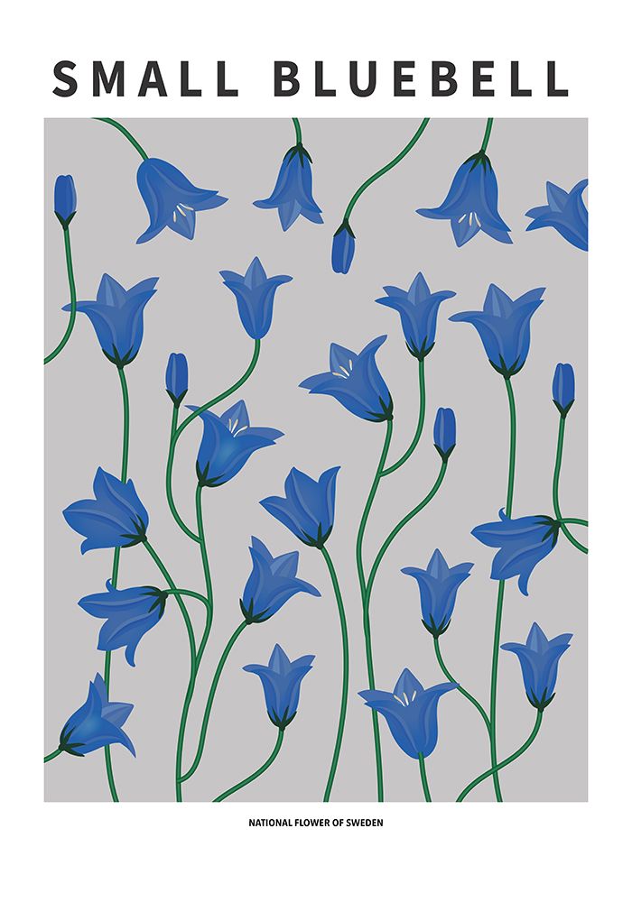 Small Bluebell - National flower of Sweden art print by Paperago for $57.95 CAD