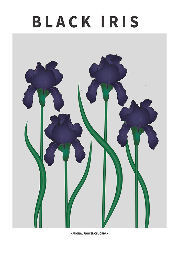 Black Iris - National flower of Jordan art print by Paperago for $57.95 CAD