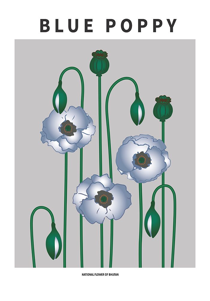 Blue Poppy - National flower of  Bhutan art print by Paperago for $57.95 CAD