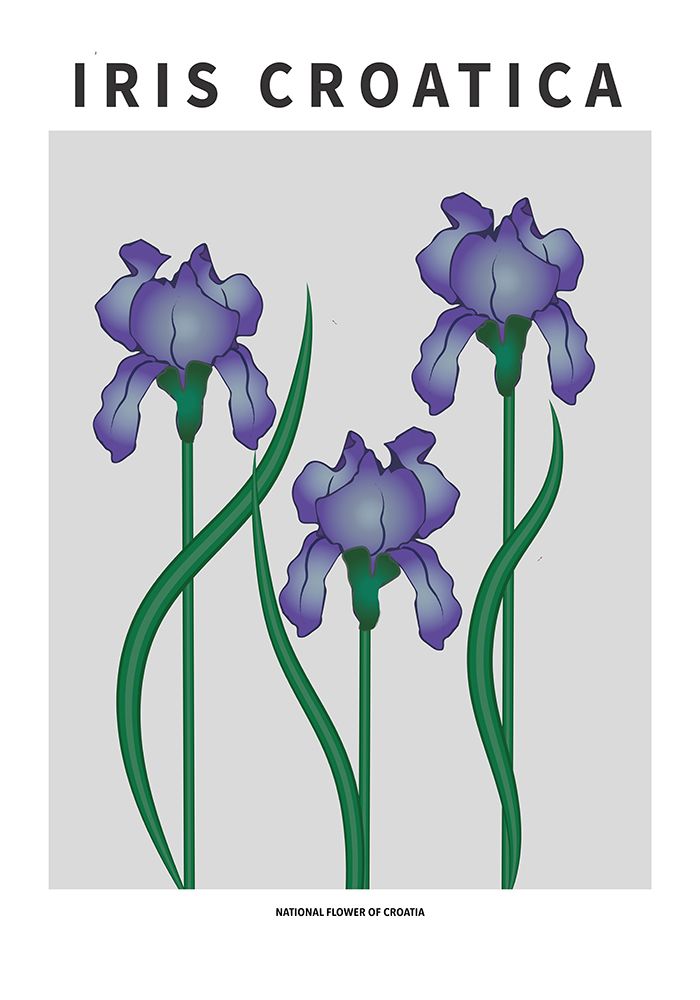Iris Croatica - National flower of Croatia art print by Paperago for $57.95 CAD