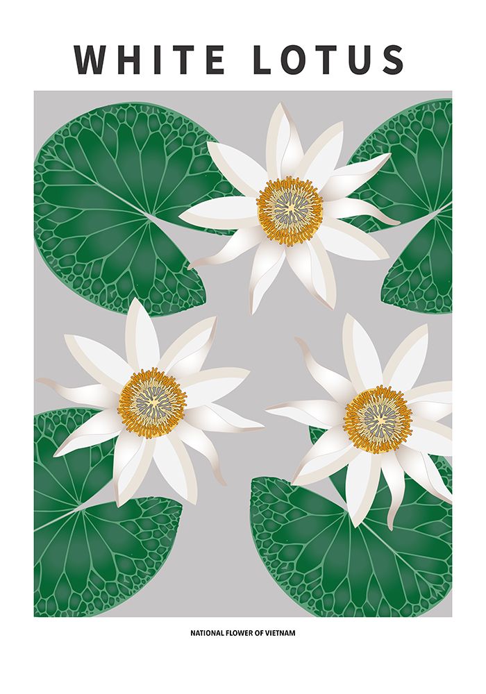 White Lotus - National flower of Vietnam art print by Paperago for $57.95 CAD