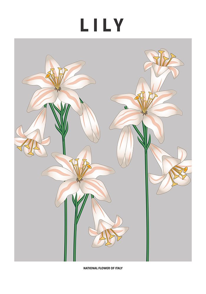 Lily - National flower of Italy art print by Paperago for $57.95 CAD
