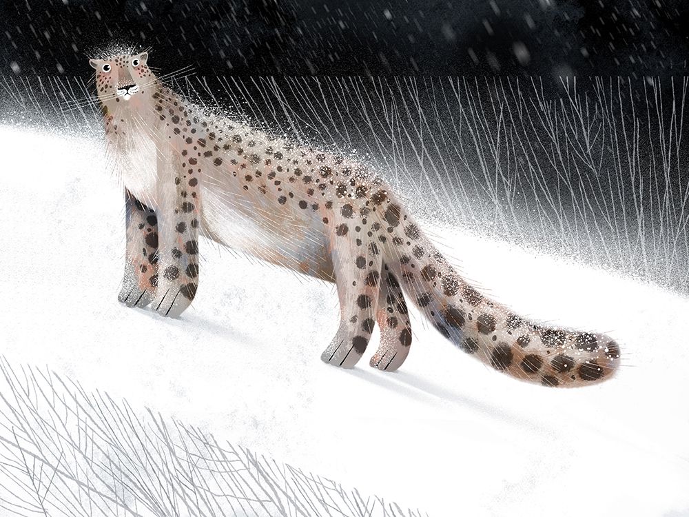 Snow Leopard art print by Olga Skomorokhova for $57.95 CAD