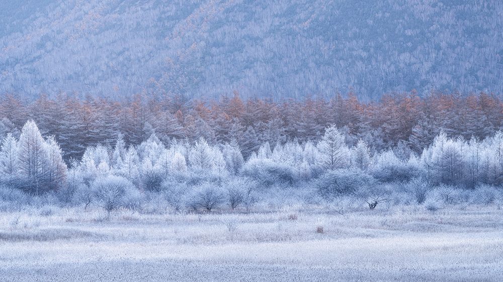 Autumn and winter layers art print by Ryohei Irie for $57.95 CAD