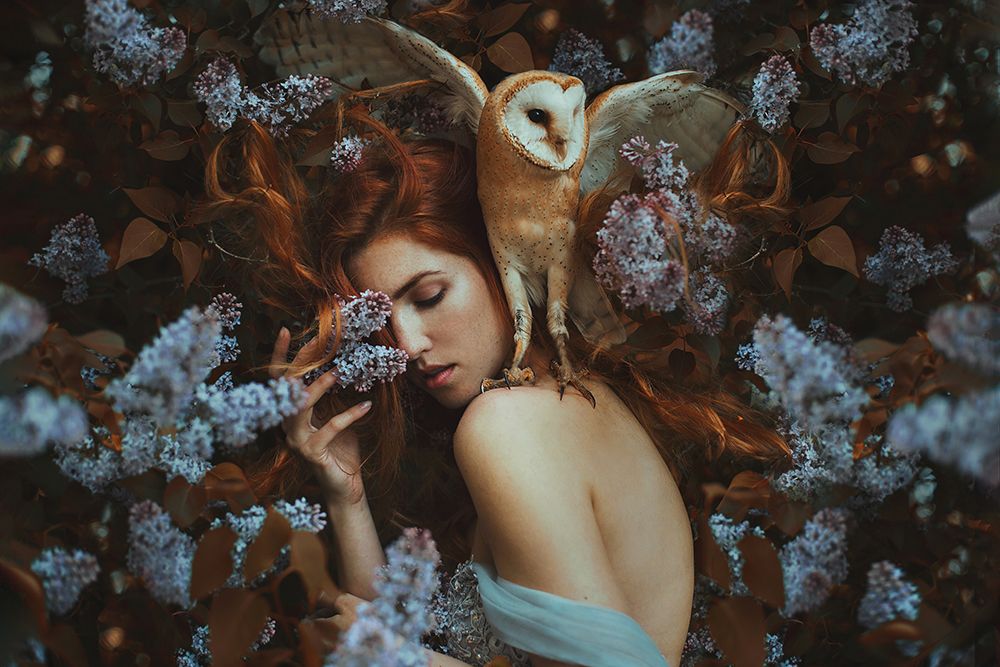 Soul of nature... art print by Marketa Leupoldova for $57.95 CAD