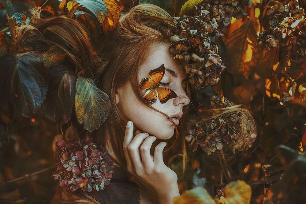 Butterfly... art print by Marketa Leupoldova for $57.95 CAD